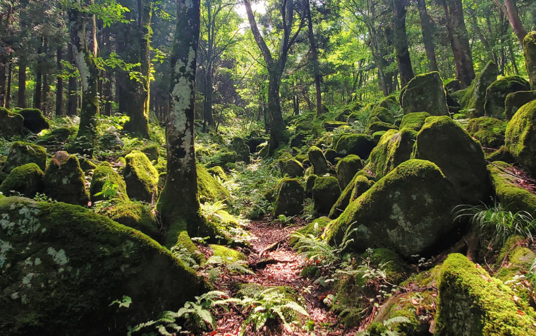 たっぷり満喫　遠野モデルコース１泊２日